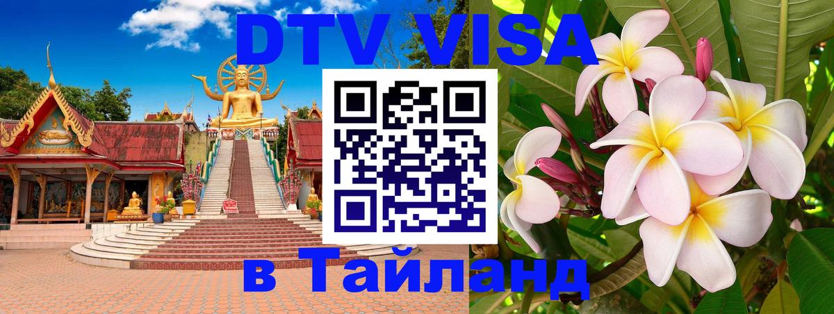 Сколько стоит DTV виза — актуальные цены, оформление даже без документов - Владимир  07.12.2025 